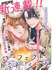 完美支配