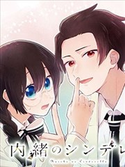 秘密的灰姑娘