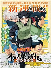 木叶新传：汤烟忍法帖