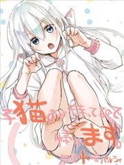 家有幼猫♂