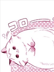 转生猫猫