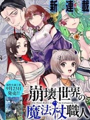 崩坏世界的魔杖匠人
