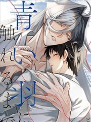 在触碰青色羽毛之前