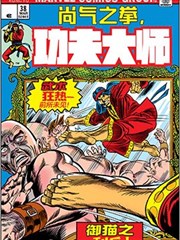 功夫大师